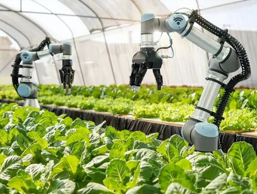 俄羅斯約30%農業機械依賴進口