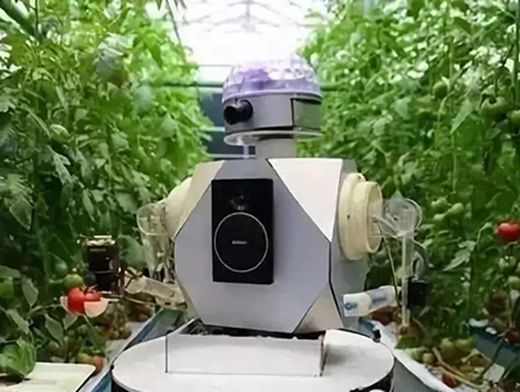 智慧農業市場調研，智慧農業市場前景展望