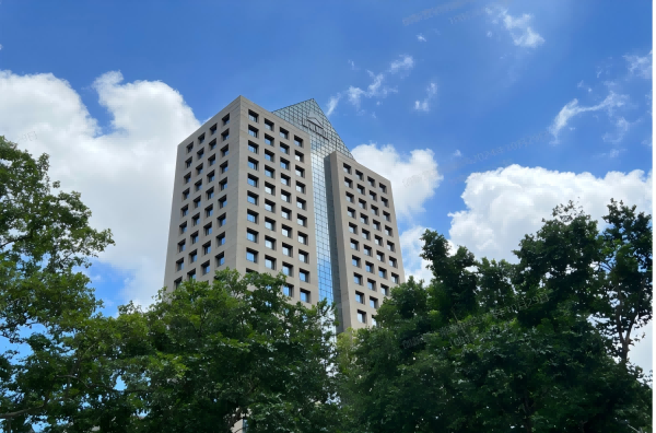 蘇美達技術公司召開海外客戶資源與業務拓展專題會